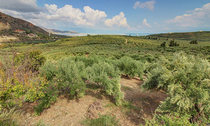 BUILD A LUXURIOUS HOUSE WITH STUNNING VIEWS