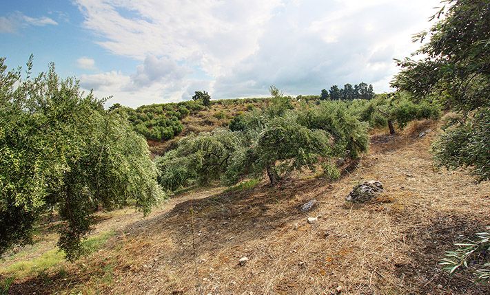 BUILD A LUXURIOUS HOUSE WITH STUNNING VIEWS