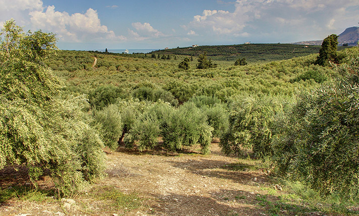 BUILD A LUXURIOUS HOUSE WITH STUNNING VIEWS