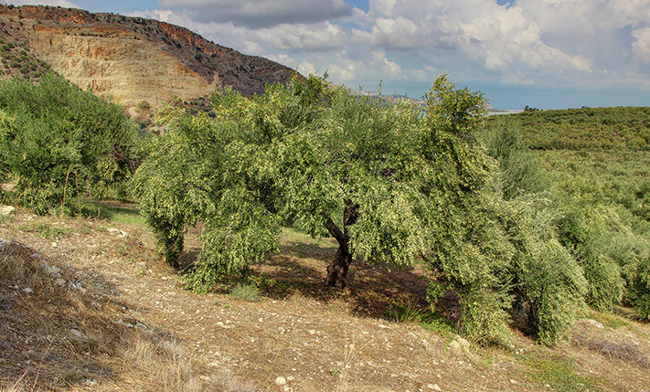 ΧΤΙΣΤΕ ΜΙΑ ΠΟΛΥΤΕΛΗ ΚΑΤΟΙΚΙΑ ΜΕ ΜΟΝΑΔΙΚΗ ΘΕΑ