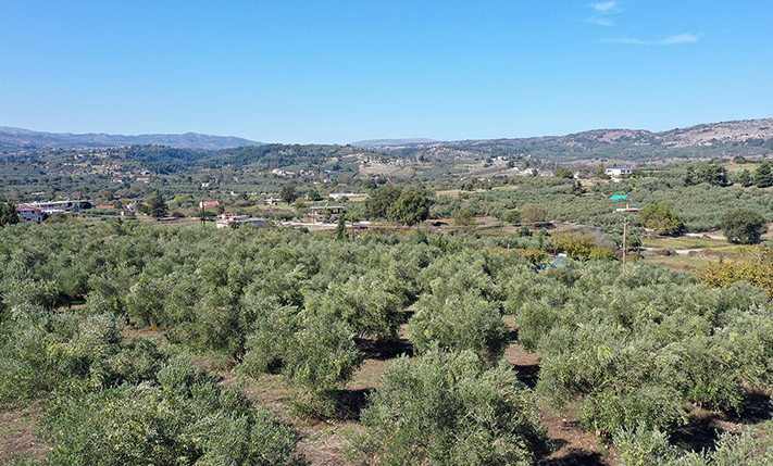 ΜΕ ΚΑΛΟ ΣΧΗΜΑ ΚΑΙ ΗΠΙΑ ΚΛΙΣΗ ΚΟΝΤΑ ΣΤΙΣ ΒΡΥΣΕΣ
