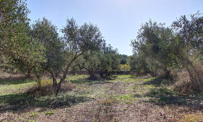 ΜΕ ΚΑΛΟ ΣΧΗΜΑ ΚΑΙ ΗΠΙΑ ΚΛΙΣΗ ΚΟΝΤΑ ΣΤΙΣ ΒΡΥΣΕΣ