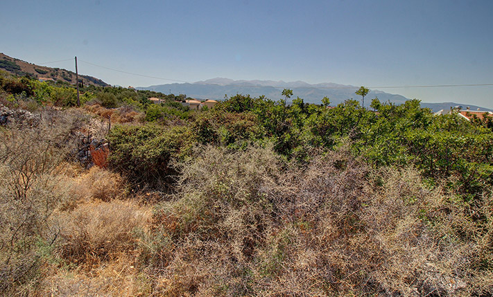 LAND FOR A VILLA OR 2 DETACHED HOUSES