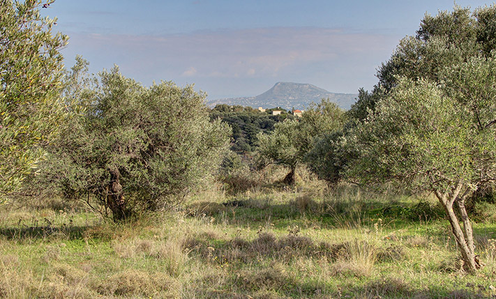 ΑΠΟΜΟΝΩΜΕΝΗ ΘΕΣΗ ΜΕ ΠΑΝΟΡΑΜΙΚΗ ΘΕΑ