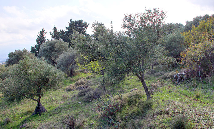 ΑΠΟΜΟΝΩΜΕΝΗ ΘΕΣΗ ΜΕ ΠΑΝΟΡΑΜΙΚΗ ΘΕΑ