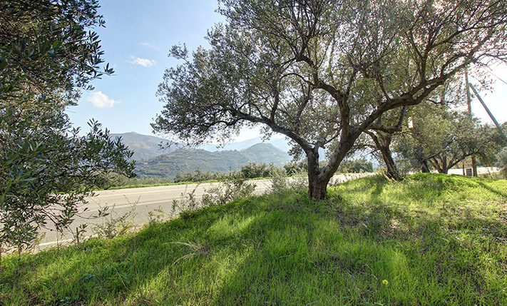 ΣΤΗΝ ΚΟΡΥΦΟΓΡΑΜΜΗ ΜΕ ΘΕΑ ΣΕ ΑΝΑΤΟΛΗ & ΔΥΣΗ