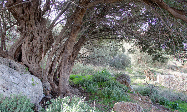 VIEWS OVER THE CITY & PERMIT ALREADY IN PLACE