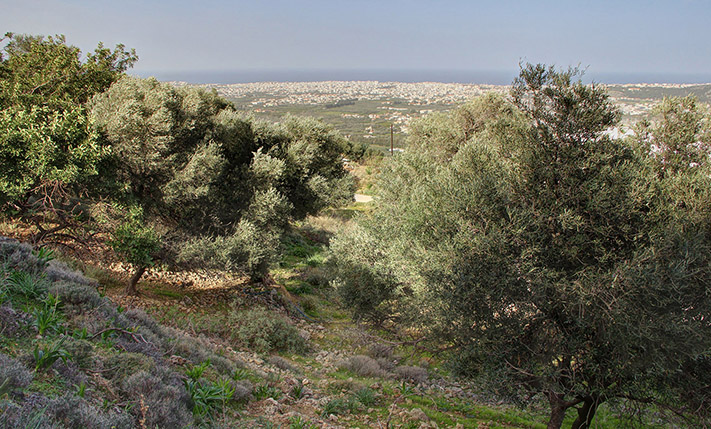 VIEWS OVER THE CITY & PERMIT ALREADY IN PLACE