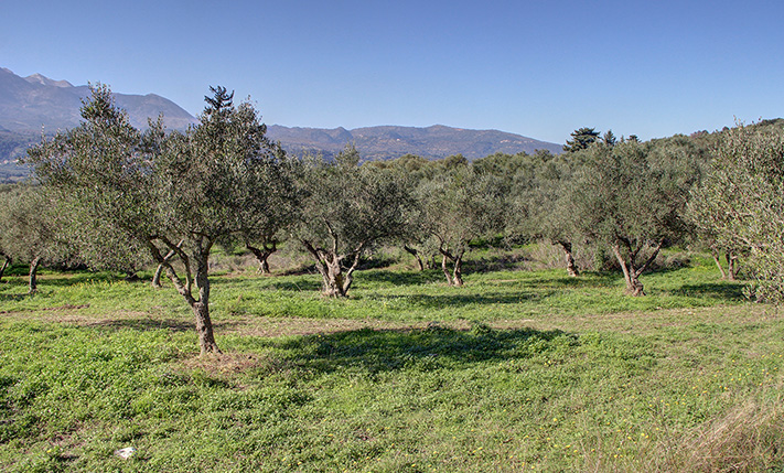 EASY ACCESS & PERMIT IN PLACE FOR 2 VILLAS