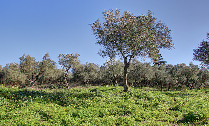 EASY ACCESS & PERMIT IN PLACE FOR 2 VILLAS