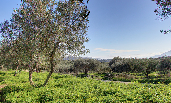 CLOSE TO INTERCHANGE WITH PERMIT FOR 2 HOUSES