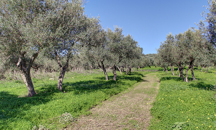 CLOSE TO INTERCHANGE WITH PERMIT FOR 2 HOUSES