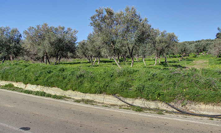 CLOSE TO INTERCHANGE WITH PERMIT FOR 2 HOUSES