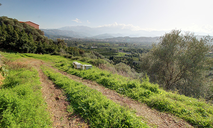 PLOT WITH UNOBSTRUCTED PANORAMIC VIEWS