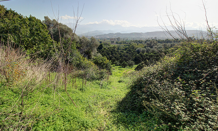 ΕΚΤΑΣΗ ΜΕ ΑΝΕΜΠΟΔΙΣΤΗ ΘΕΑ ΣΤΑ ΛΕΥΚΑ ΟΡΗ