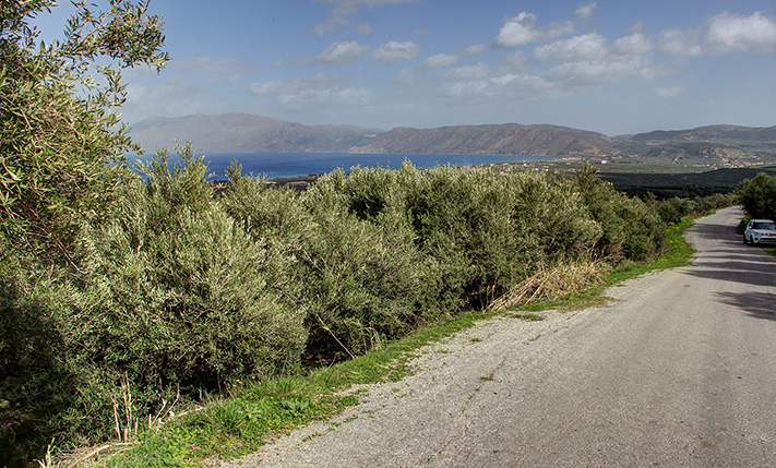ΟΙΚΟΝΟΜΙΚΟ ΓΙΑ ΜΟΝΟΚΑΤΟΙΚΙΑ ΜΕ ΑΠΕΡΙΟΡΙΣΤΗ ΘΕΑ