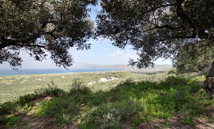 LAND FOR A HOUSE WITH UNOBSTRUCTED SEA VIEWS