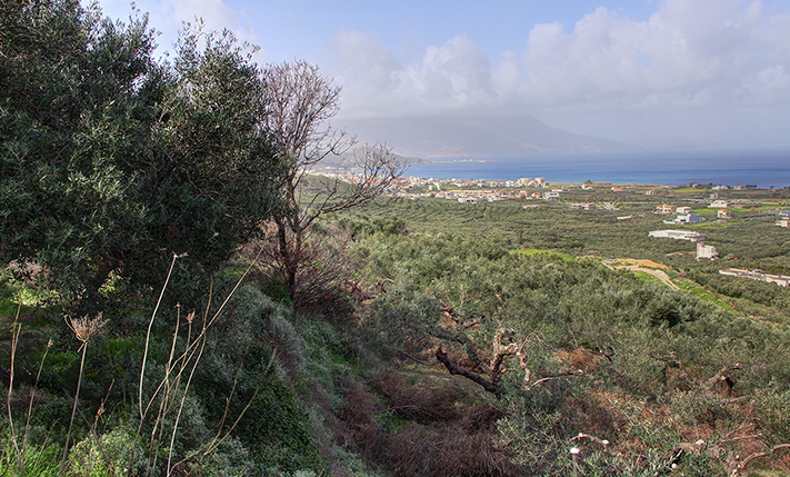 ΟΙΚΟΝΟΜΙΚΟ ΓΙΑ ΜΟΝΟΚΑΤΟΙΚΙΑ ΜΕ ΑΠΕΡΙΟΡΙΣΤΗ ΘΕΑ
