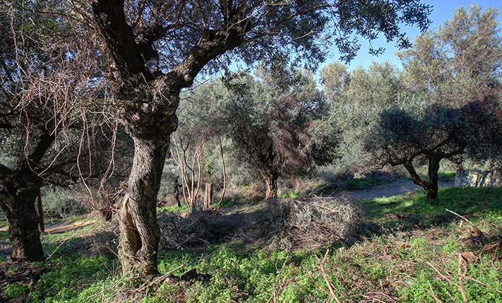 ΣΕ ΔΥΤΙΚΗ ΠΛΑΓΙΑ ΜΕ ΠΑΝΟΡΑΜΙΚΗ ΘΕΑ