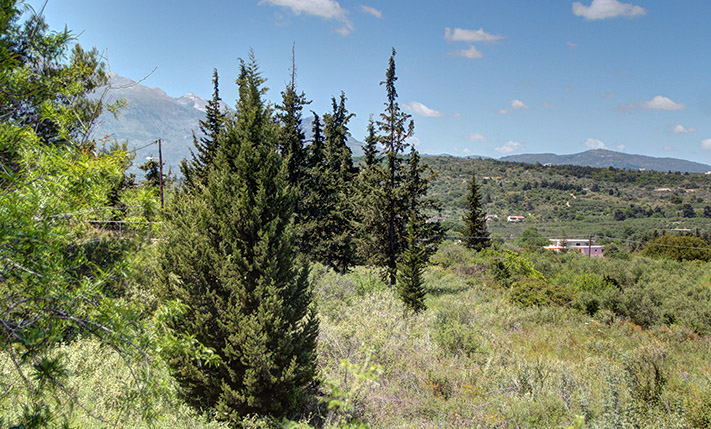 ΔΥΟ ΠΑΡΑΚΕΙΜΕΝΑ ΟΙΚΟΠΕΔΑ ΜΕ ΑΠΕΝΑΝΤΙ ΟΨΕΙΣ