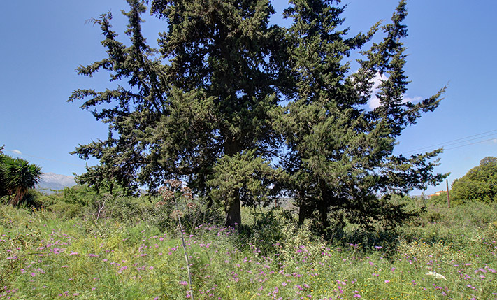 LOT OF 2 ADJACENT PLOTS WITH 2 OPPOSITE FRONTS