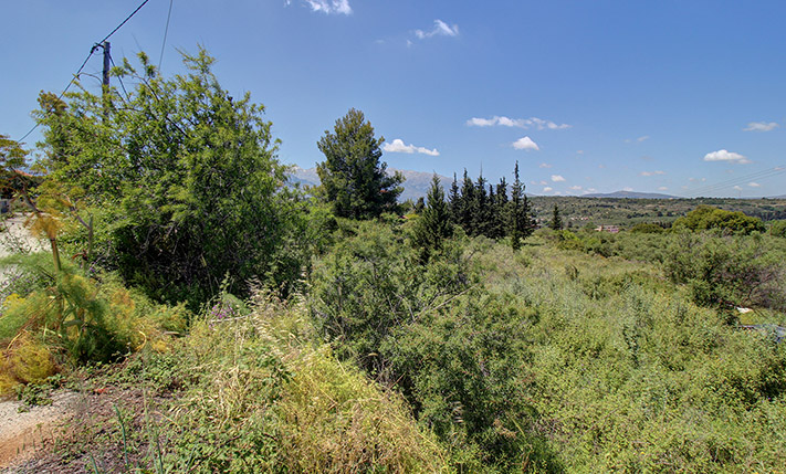 LOT OF 2 ADJACENT PLOTS WITH 2 OPPOSITE FRONTS