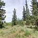 PLS1009 - image 5