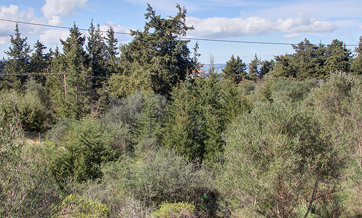 READY-TO-BUILD AMIDST NATURE