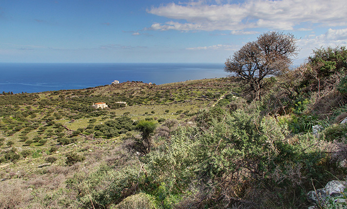 LUXURIOUS PLOT AMIDST THE CRETAN WILD