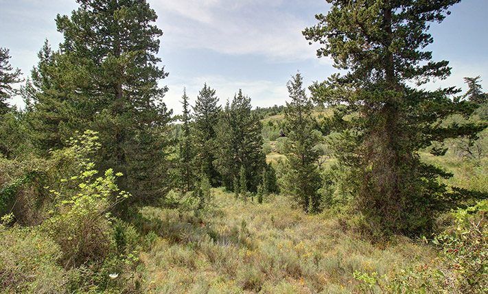 PERFECTLY SECLUDED AMONG THE CYPRESS TREES