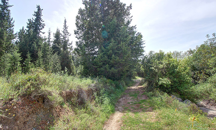 PERFECTLY SECLUDED AMONG THE CYPRESS TREES