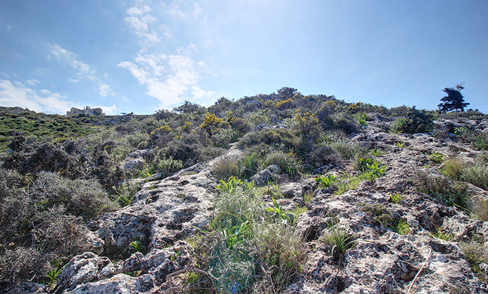 ΕΥΚΑΙΡΙΑ ΜΕ ΑΝΕΜΠΟΔΙΣΤΗ ΘΕΑ ΠΑΝΩ ΑΠΟ ΤΗΝ ΠΟΛΗ