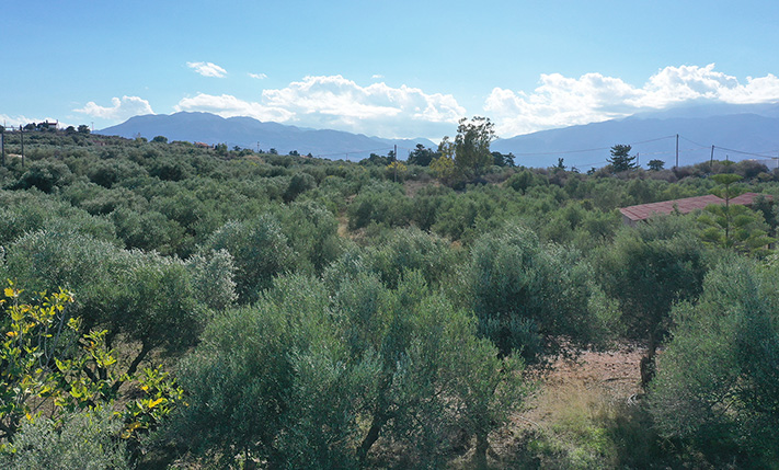 CONVENIENT SHAPE & SEA VIEWS FROM AN UPPER FLOOR