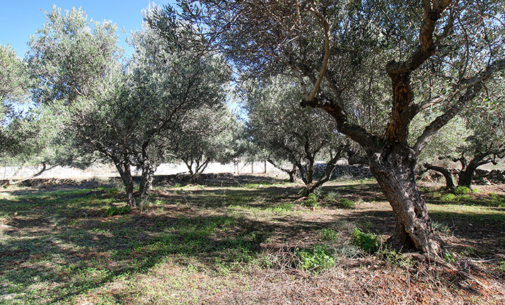 ΚΑΛΟ ΣΧΗΜΑ ΚΑΙ ΘΕΑ ΘΑΛΑΣΣΑ ΑΠΟ ΤΟΝ ΟΡΟΦΟ