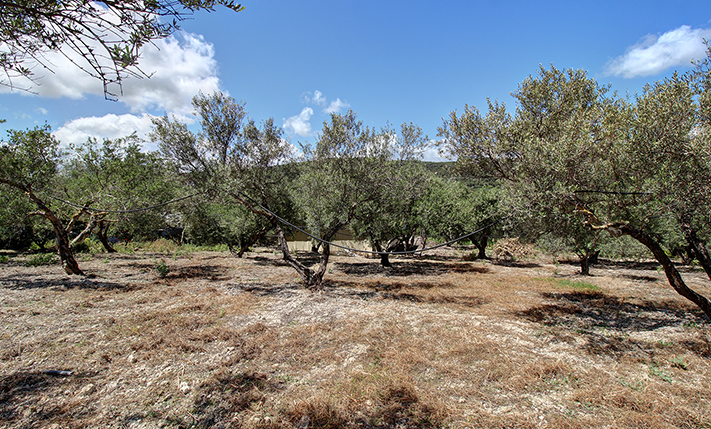 ΥΨΗΛΗ ΔΟΜΗΣΗ ΝΟΤΙΑ ΤΟΥ ΤΑΥΡΩΝΙΤΗ