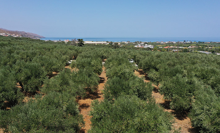 ΚΟΝΤΑ ΣΤΟΝ ΚΟΜΒΟ ΚΟΛΥΜΒΑΡΙΟΥ ΜΕ ΘΕΑ