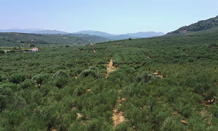 NEAR KOLYMBARI WITH EXCEPTIONAL VIEWS