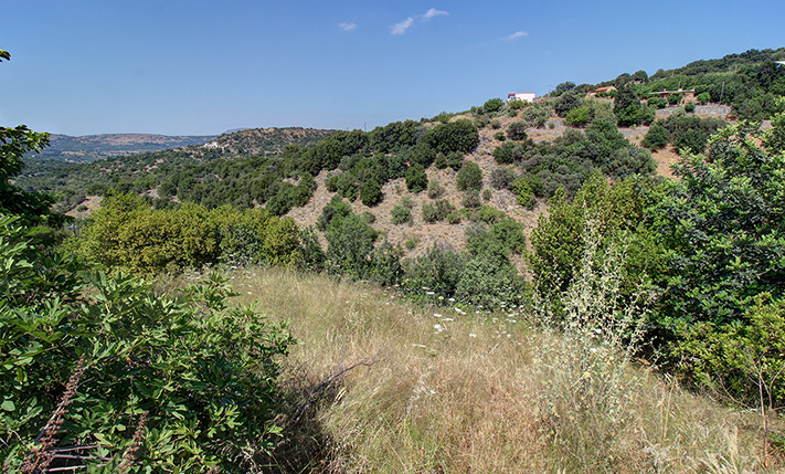 LAND WITH THE WALLS OF AN OLD BUILDING