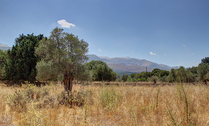 ΑΝΕΤΗ ΕΚΤΑΣΗ ΠΟΛΥ ΚΟΝΤΑ ΣΤΙΣ ΒΡΥΣΕΣ