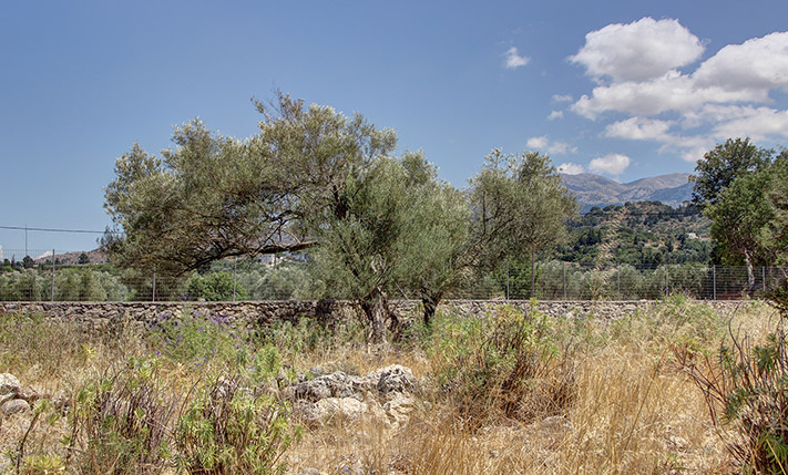 ΑΝΕΤΗ ΕΚΤΑΣΗ ΠΟΛΥ ΚΟΝΤΑ ΣΤΙΣ ΒΡΥΣΕΣ