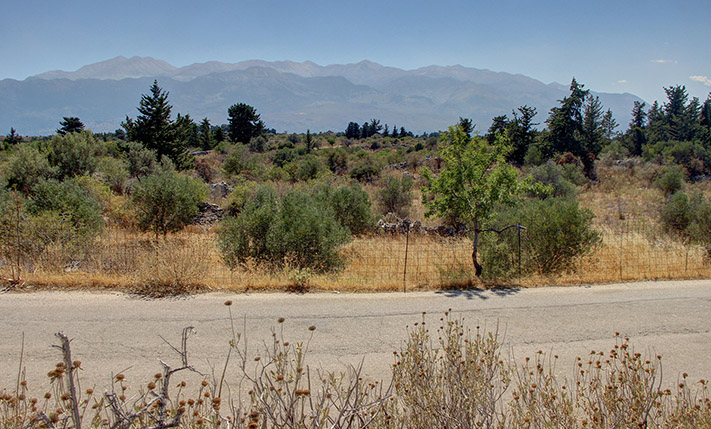 ΜΕ ΜΕΓΑΛΗ ΠΡΟΣΟΨΗ ΜΕΤΑΞΥ ΛΙΤΣΑΡΔΑΣ-ΣΟΥΡΗ