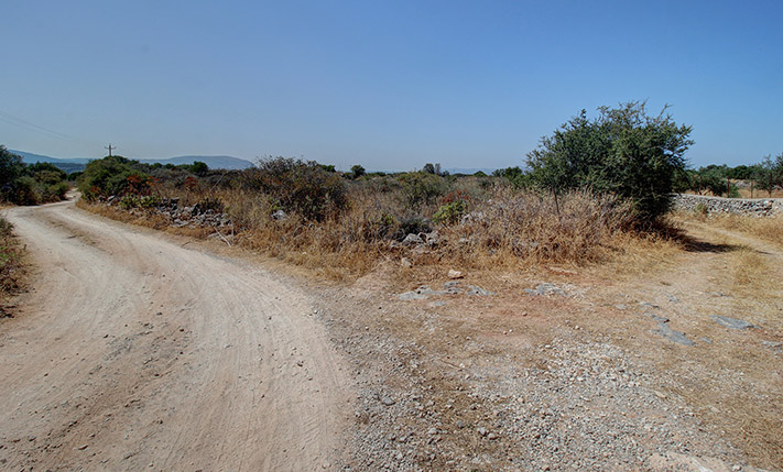 ΕΠΙΠΕΔΗ ΕΚΤΑΣΗ ΑΝΑΜΕΣΑ ΣΕ ΒΑΜΟ ΚΑΙ ΛΙΤΣΑΡΔΑ