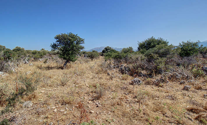 ΕΠΙΠΕΔΗ ΕΚΤΑΣΗ ΑΝΑΜΕΣΑ ΣΕ ΒΑΜΟ ΚΑΙ ΛΙΤΣΑΡΔΑ