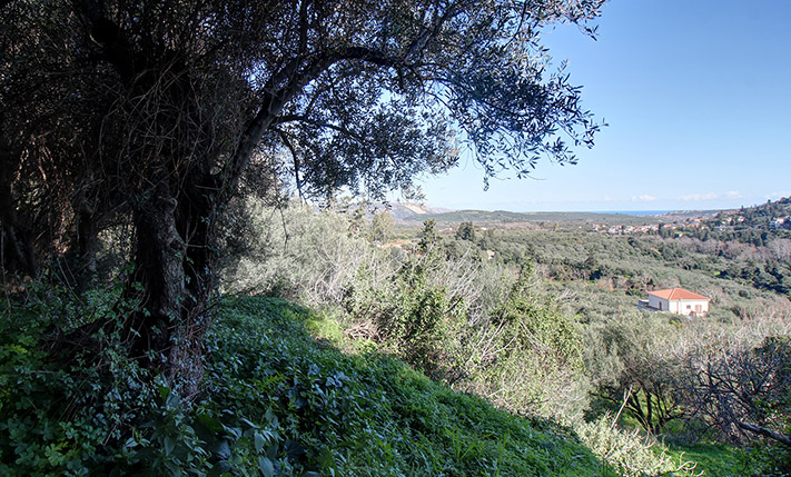 ΔΙΑΣΦΑΛΙΣΜΕΝΗ ΘΕΑ ΣΕ ΠΑΡΑΔΟΣΙΑΚΟ ΟΙΚΙΣΜΟ