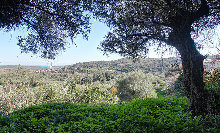 ΔΙΑΣΦΑΛΙΣΜΕΝΗ ΘΕΑ ΣΕ ΠΑΡΑΔΟΣΙΑΚΟ ΟΙΚΙΣΜΟ