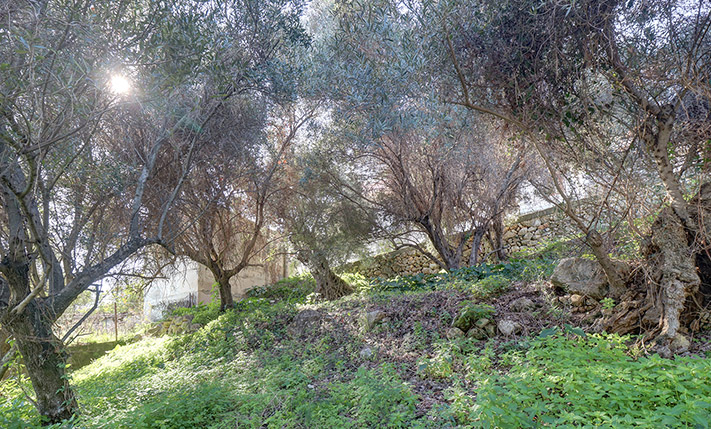 ΔΙΑΣΦΑΛΙΣΜΕΝΗ ΘΕΑ ΣΕ ΠΑΡΑΔΟΣΙΑΚΟ ΟΙΚΙΣΜΟ