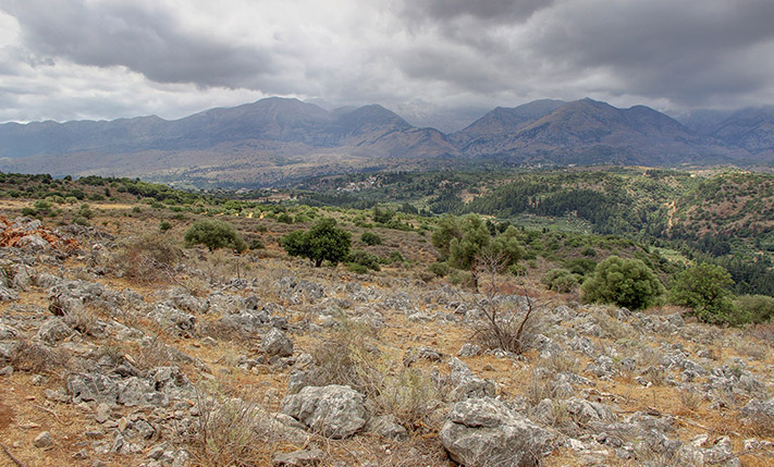 LOT OF 5 ADJACENT PLOTS WITH PANORAMIC VIEWS