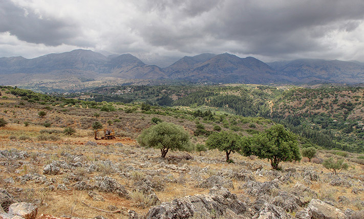 LOT OF 5 ADJACENT PLOTS WITH PANORAMIC VIEWS