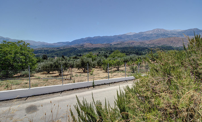 ΟΙΚΟΝΟΜΙΚΗ ΛΥΣΗ ΜΕ ΘΕΑ ΣΤΑ ΛΕΥΚΑ ΟΡΗ