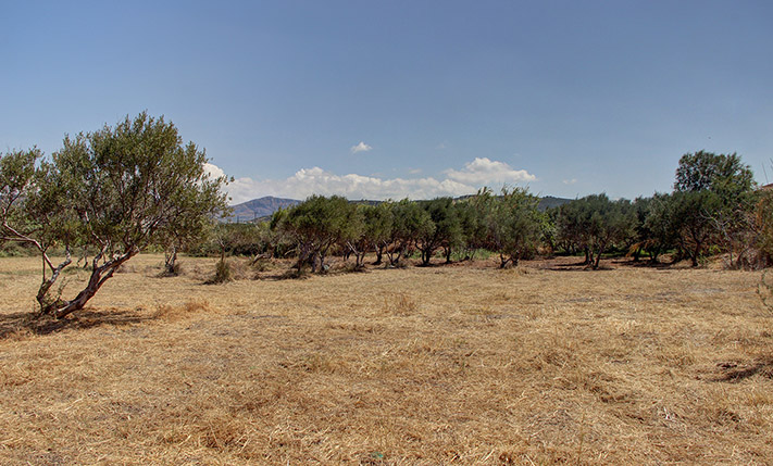 ΕΠΙΠΕΔΟ ΑΓΡΟΤΕΜΑΧΙΟ ΚΟΝΤΑ ΣΤΗ ΘΑΛΑΣΣΑ